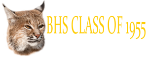 bhs class 55